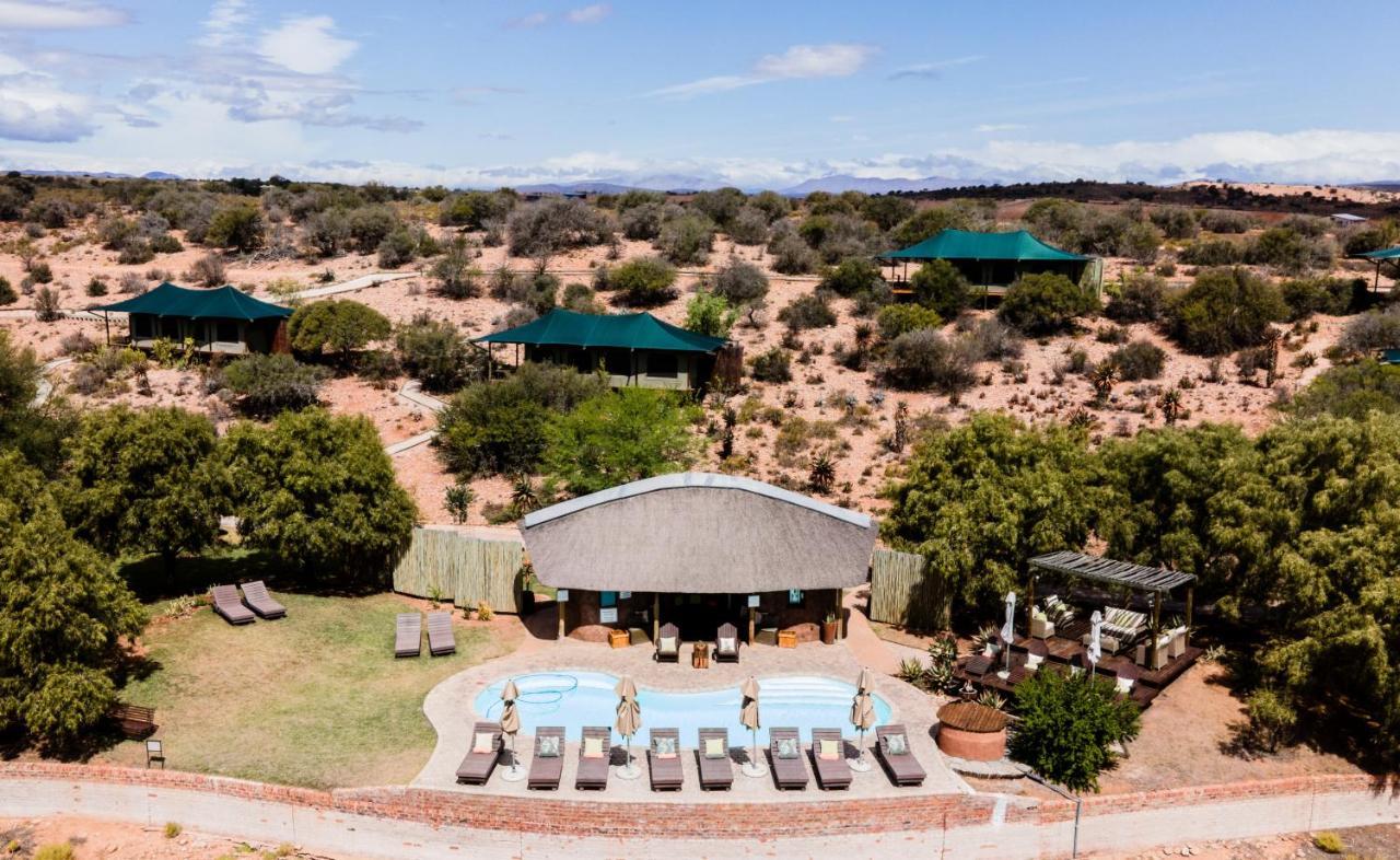 Buffelsdrift Game Lodge Oudtshoorn Exterior foto