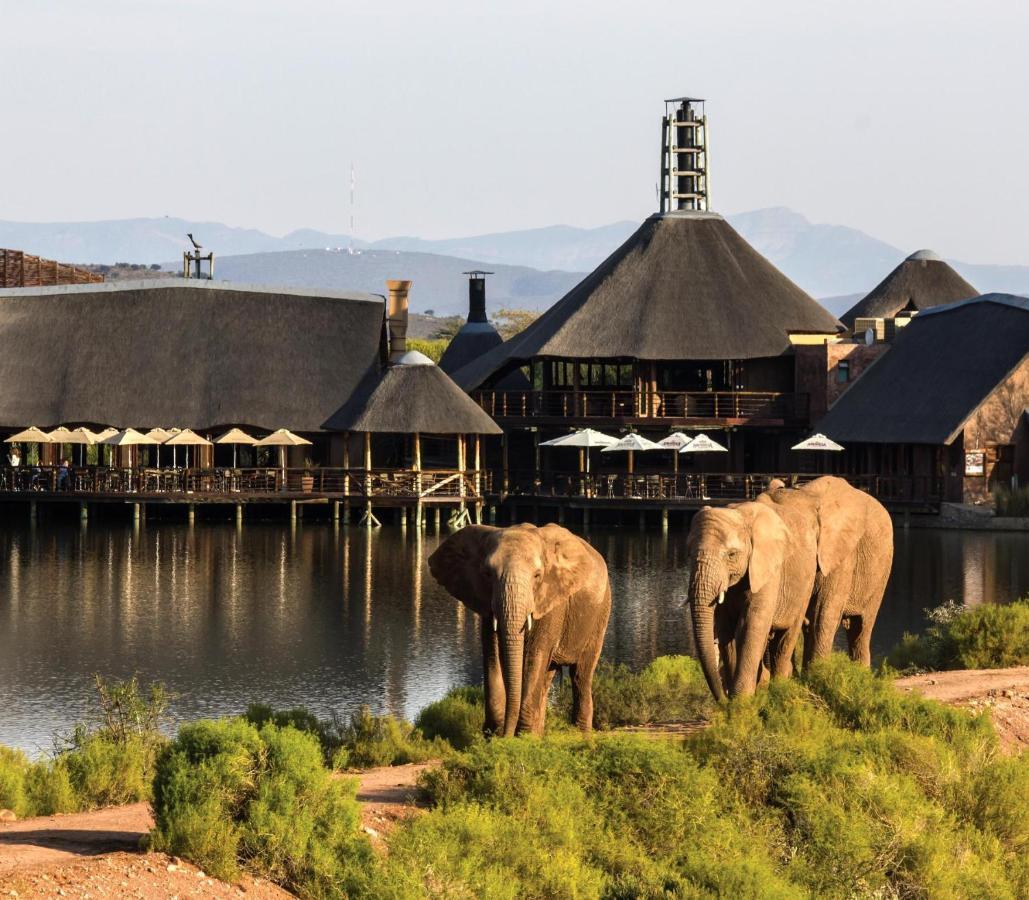 Buffelsdrift Game Lodge Oudtshoorn Exterior foto