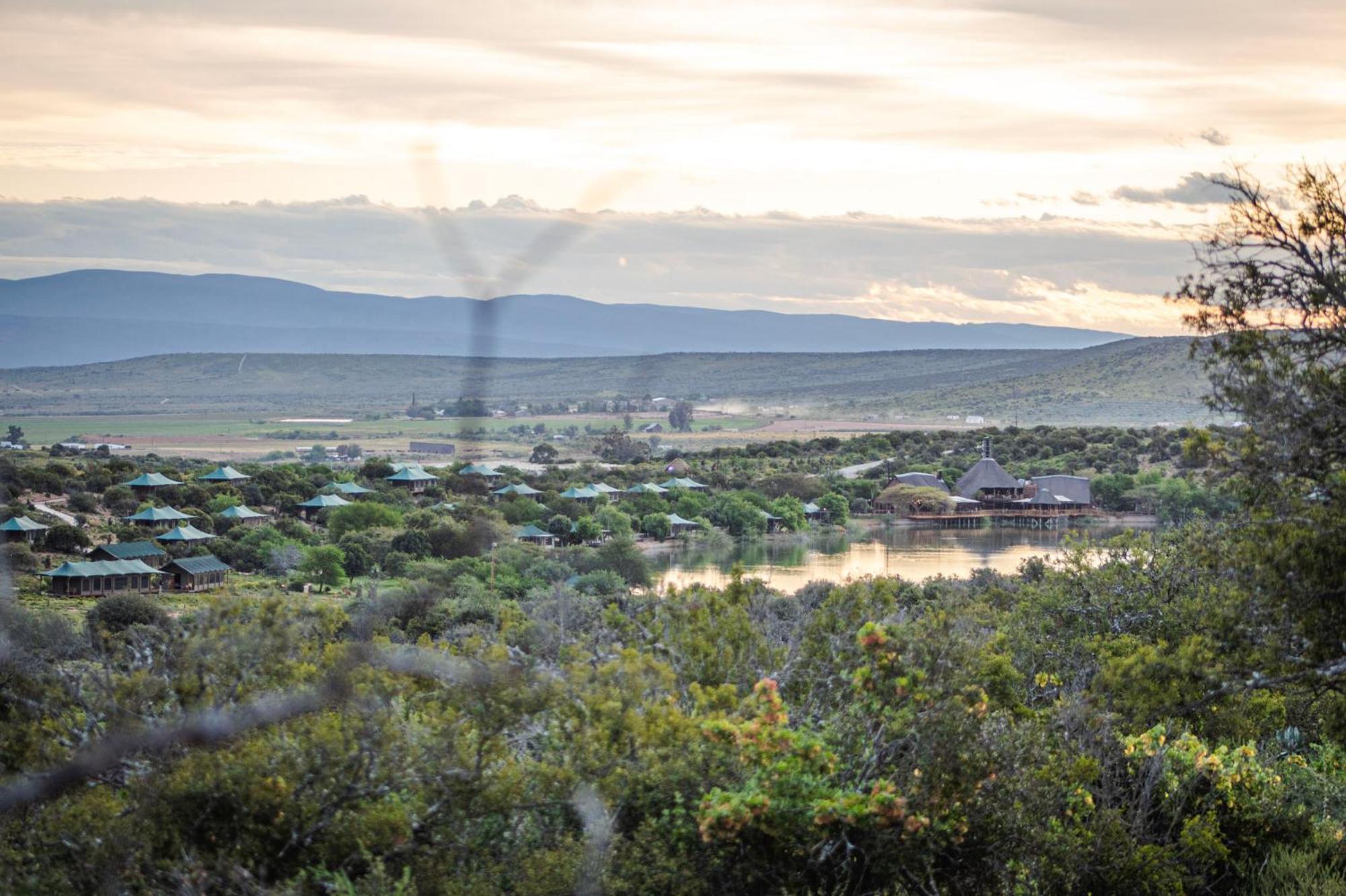 Buffelsdrift Game Lodge Oudtshoorn Exterior foto