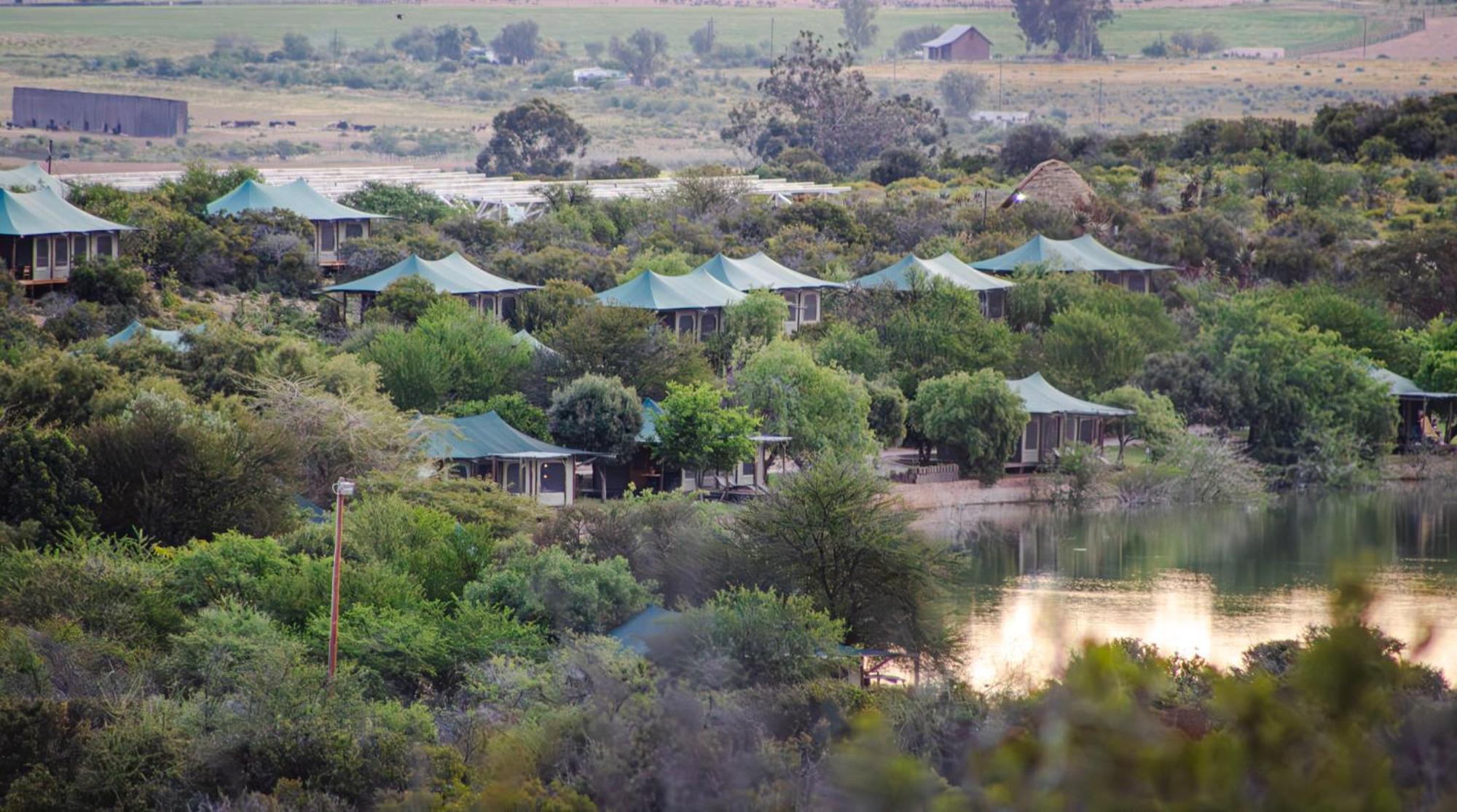 Buffelsdrift Game Lodge Oudtshoorn Exterior foto