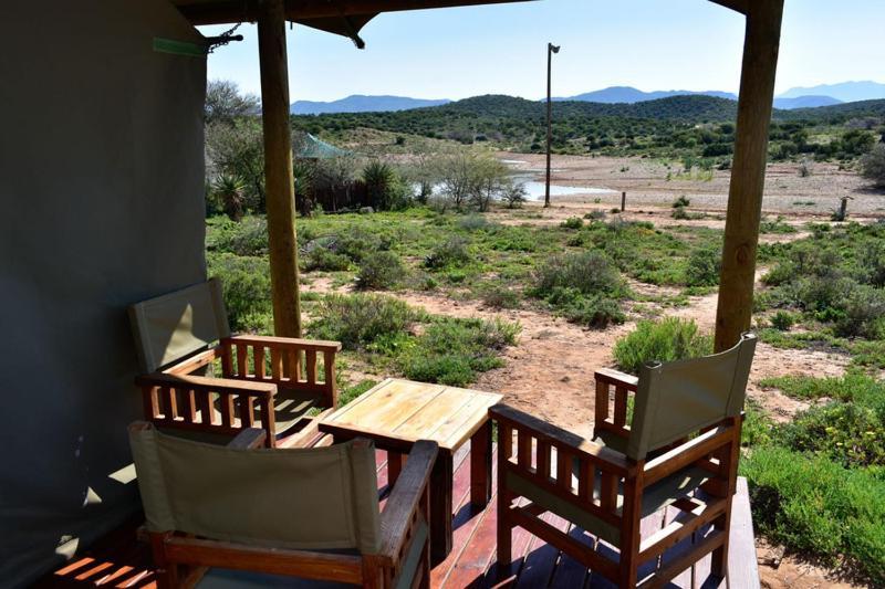 Buffelsdrift Game Lodge Oudtshoorn Zimmer foto